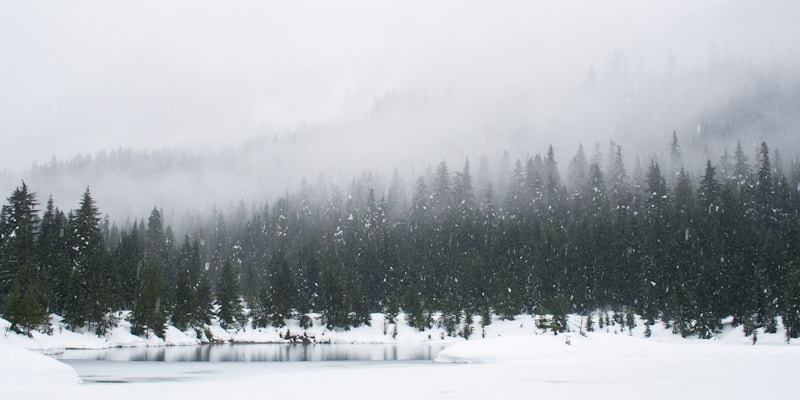 Snow Night app - sleep timer and ambient sound settings on mobile